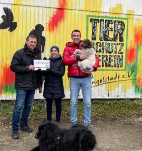 ❤️ Weihnachtskarten mit Rudi, dem Schulhund, am Apian – tolle Spendenaktion fürs Tierheim ❤️