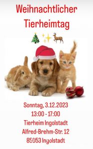 ❤️ Vorweihnachtlicher Tierheimtag am 3.12.2023 ❤️